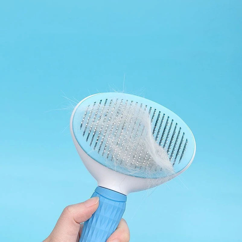 Brosse pour animaux