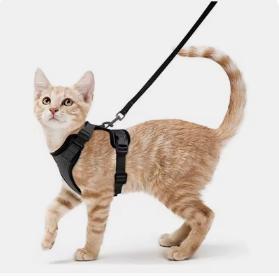 Cat harness & leash