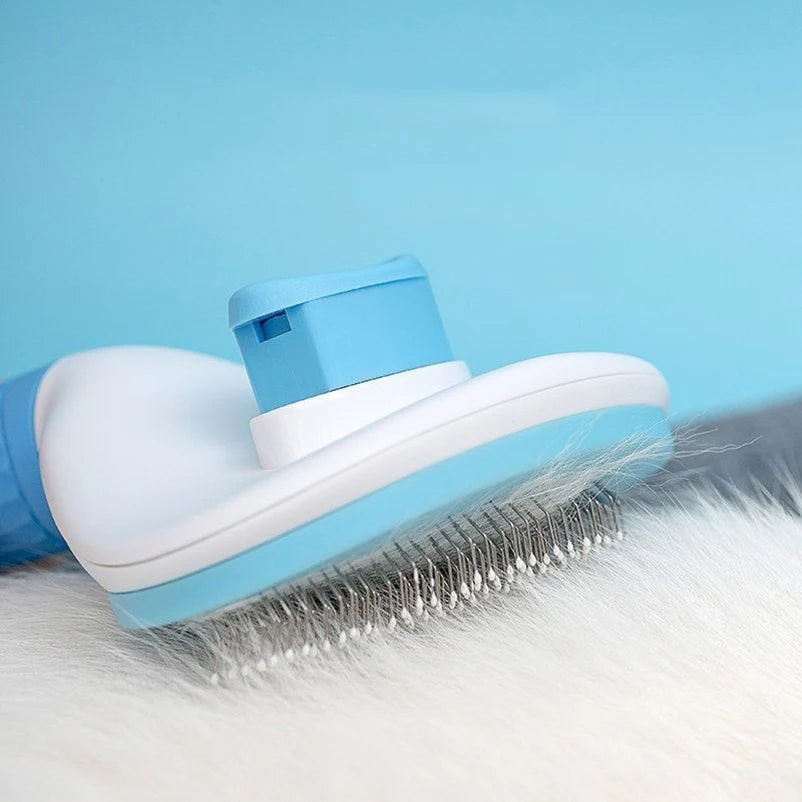 Brosse pour animaux