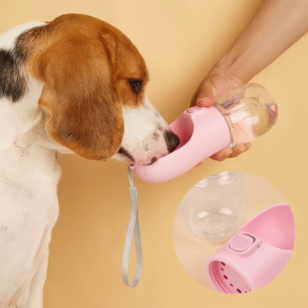 Pet water bottle